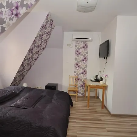 Zygmuntowska Bed & Breakfast 3*